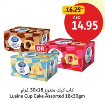 Union Coop Lusine Cup Cake Assorted offer