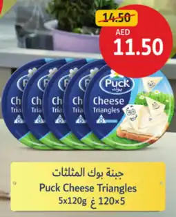 Union Coop Puck Cheese Triangles offer