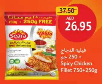 Union Coop Spicy Chicken Fillet offer