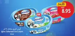 Union Coop Igloo Selected Ice Cream offer