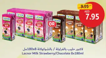 Union Coop Lacnor Milk Strawberry / Chocolate offer
