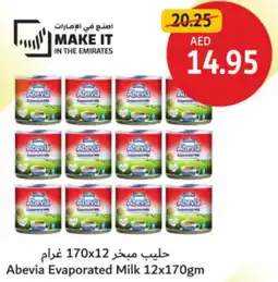Union Coop Abevia Evaporated Milk offer