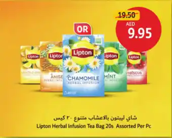 Union Coop Lipton Herbal Infusion Tea Bag 20s Assorted offer