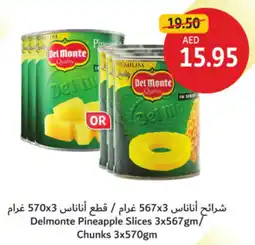 Union Coop Delmonte Pineapple Slices / Chunks offer