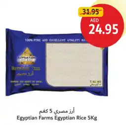 Union Coop Egyptian Farms Egyptian Rice offer