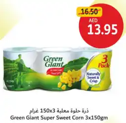 Union Coop Green Giant Super Sweet Corn offer