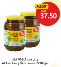 Union Coop Al Alali Fancy Vine Leaves offer