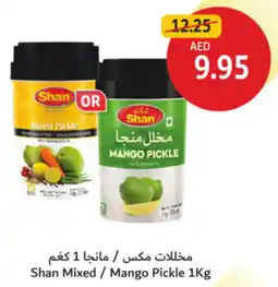Union Coop Shan Mixed / Mango Pickle offer