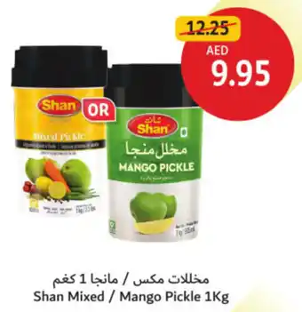 Union Coop Shan Mixed / Mango Pickle offer