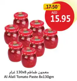 Union Coop Al Alali Tomato Paste offer