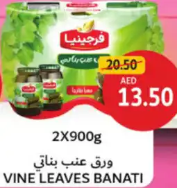 Union Coop Vine leaves banati offer