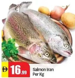 Al Madina Salmon Iran offer