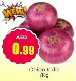 Amber Onion India offer