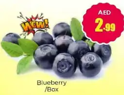 Amber Blueberry offer