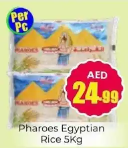 Amber Pharoes Egyptian Rice offer
