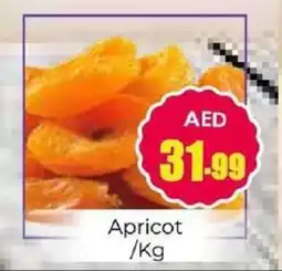 Amber Apricot offer
