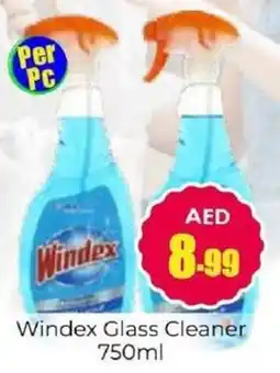 Amber Windex Glass Cleaner offer