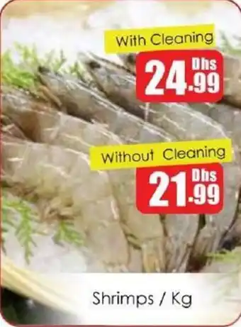 Amber Shrimps offer