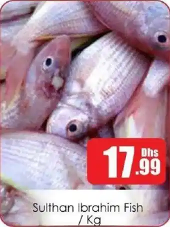 Amber Sulthan Ibrahim Fish offer