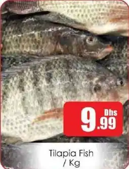 Amber Tilapia Fish offer