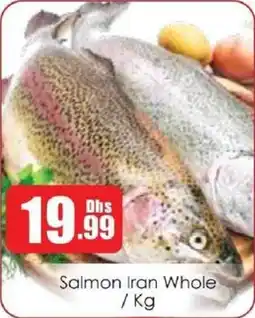 Amber Salmon Iran Whole offer