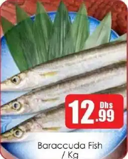 Amber Baraccuda Fish offer