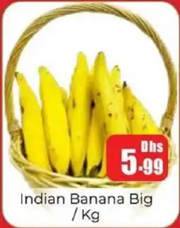 Amber Indian Banana Big offer