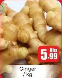 Amber Ginger offer