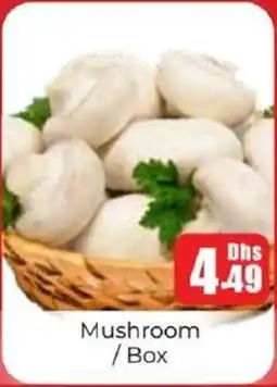 Amber Mushroom offer