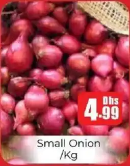 Amber Small Onion offer