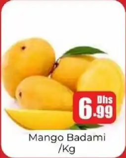 Amber Mango Badami offer