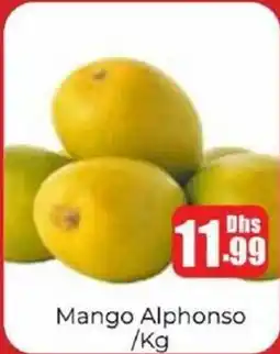 Amber Mango Alphonso offer