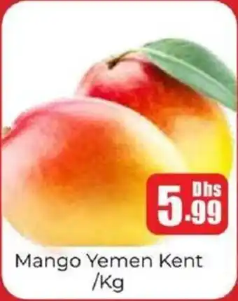 Amber Mango Yemen Kent offer