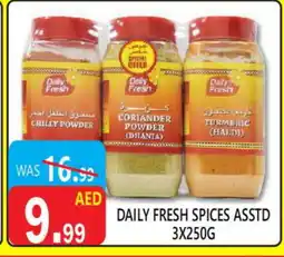 United Hypermarket DAILY FRESH Spices / Masala offer