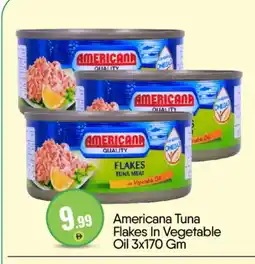 Bigmart AMERICANA Tuna - Canned offer
