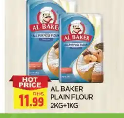 Al Madina AL BAKER All Purpose Flour offer
