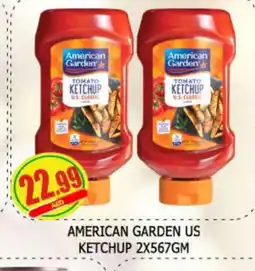 Al Madina AMERICAN GARDEN Tomato Ketchup offer