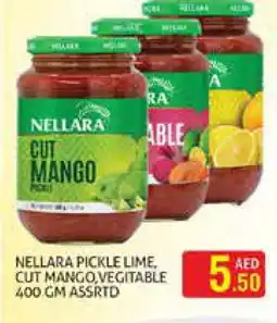 Palm Centre NELLARA Pickle offer