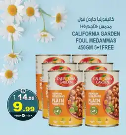 Hashim Hypermarket CALIFORNIA GARDEN Fava Beans offer