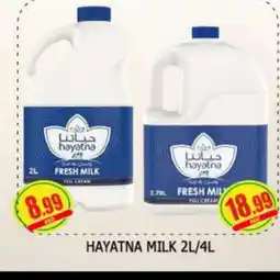 Al Madina HAYATNA Full Cream Milk offer