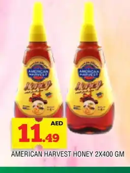 Al Madina AMERICAN HARVEST Honey offer