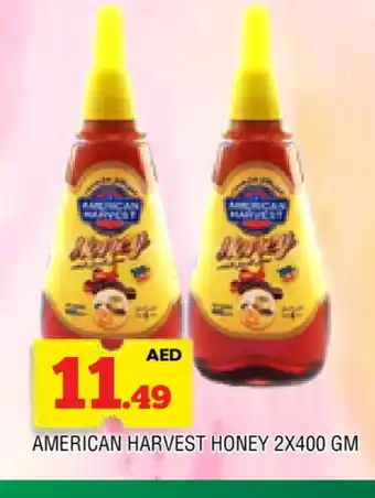 Al Madina AMERICAN HARVEST Honey offer