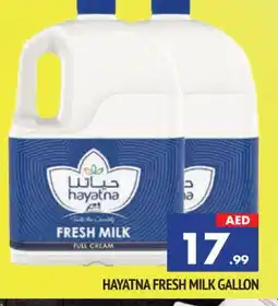 Al Madina HAYATNA Full Cream Milk offer