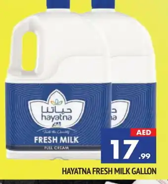Al Madina HAYATNA Full Cream Milk offer