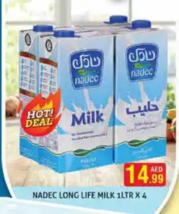Palm Centre NADEC Long Life / UHT Milk offer