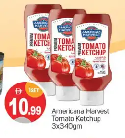 Talal Market AMERICAN HARVEST Tomato Ketchup offer