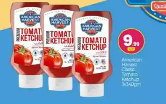 Bigmart AMERICAN HARVEST Tomato Ketchup offer