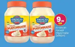 Bigmart AMERICAN HARVEST Mayonnaise offer