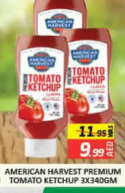 Mango Hypermarket LLC AMERICAN HARVEST Tomato Ketchup offer