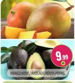 Bigmart Mango Mango offer